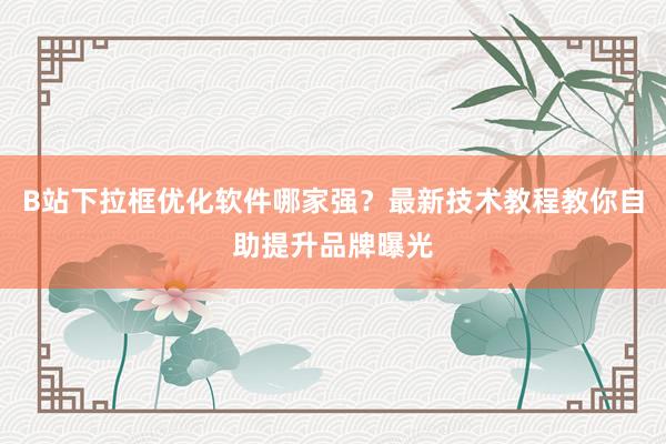 B站下拉框优化软件哪家强？最新技术教程教你自助提升品牌曝光