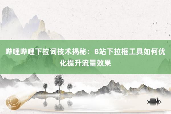 哔哩哔哩下拉词技术揭秘：B站下拉框工具如何优化提升流量效果