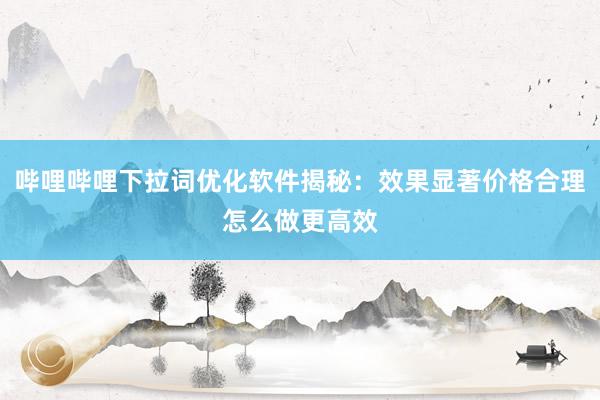 哔哩哔哩下拉词优化软件揭秘：效果显著价格合理怎么做更高效
