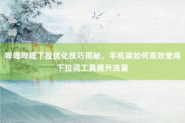 哔哩哔哩下拉优化技巧揭秘，手机端如何高效使用下拉词工具提升流量