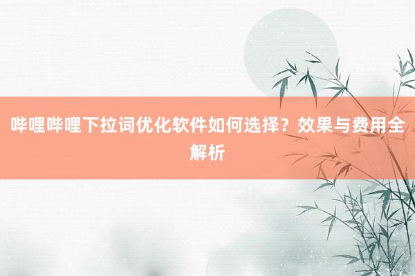 哔哩哔哩下拉词优化软件如何选择？效果与费用全解析