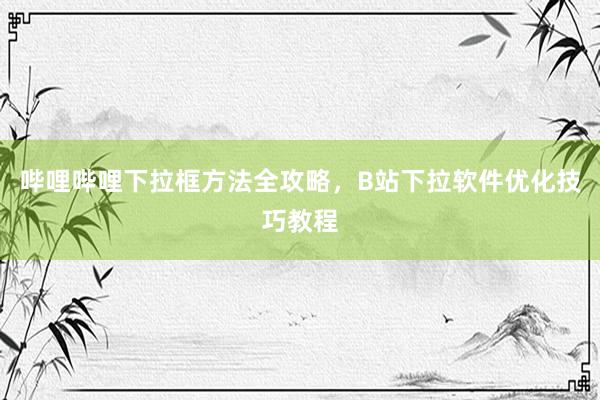 哔哩哔哩下拉框方法全攻略，B站下拉软件优化技巧教程
