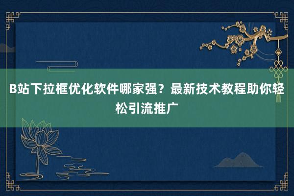 B站下拉框优化软件哪家强？最新技术教程助你轻松引流推广