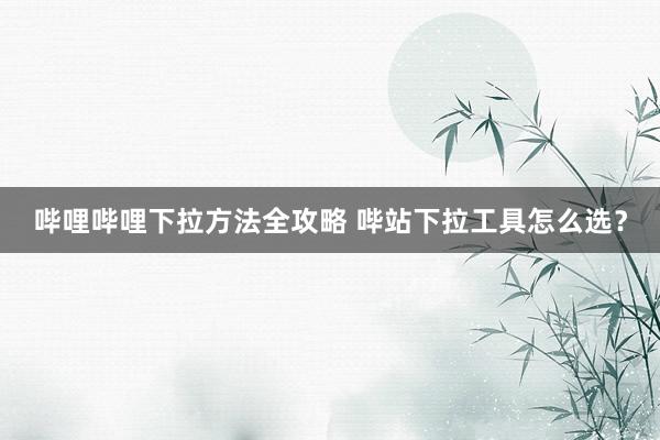 哔哩哔哩下拉方法全攻略 哔站下拉工具怎么选？