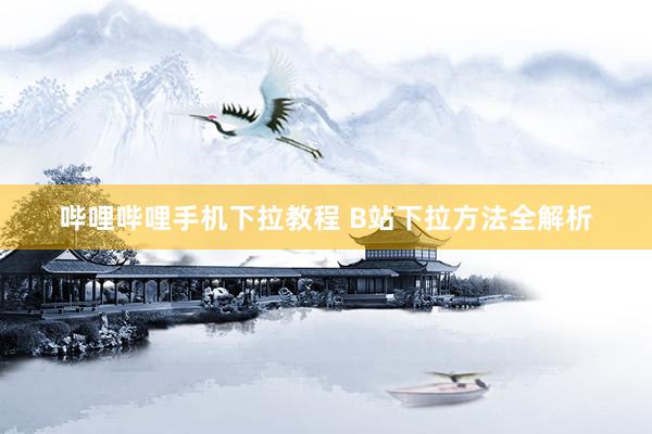 哔哩哔哩手机下拉教程 B站下拉方法全解析