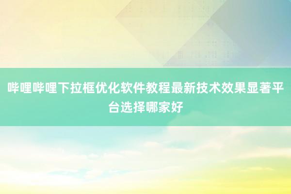 哔哩哔哩下拉框优化软件教程最新技术效果显著平台选择哪家好