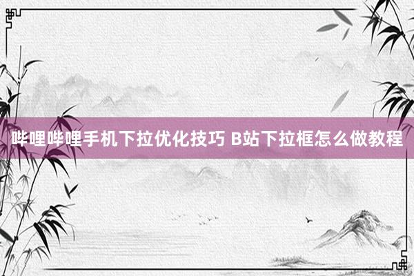 哔哩哔哩手机下拉优化技巧 B站下拉框怎么做教程