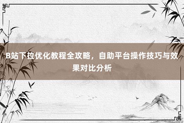 B站下拉优化教程全攻略，自助平台操作技巧与效果对比分析