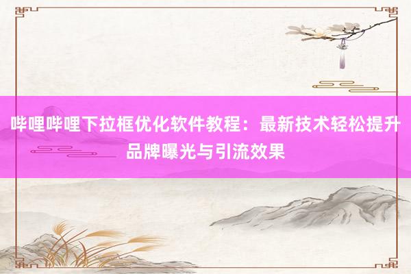 哔哩哔哩下拉框优化软件教程：最新技术轻松提升品牌曝光与引流效果