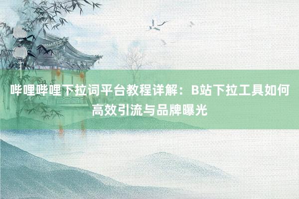 哔哩哔哩下拉词平台教程详解：B站下拉工具如何高效引流与品牌曝光