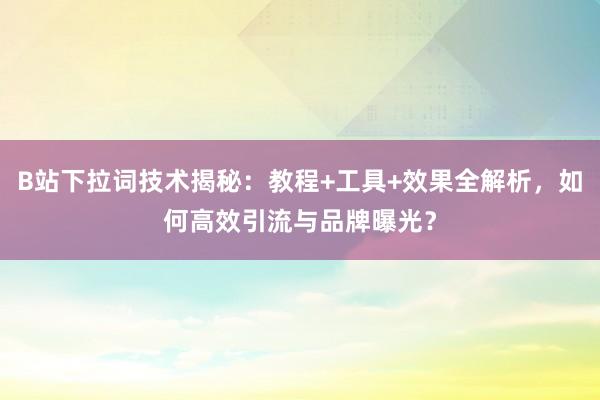 B站下拉词技术揭秘：教程+工具+效果全解析，如何高效引流与品牌曝光？