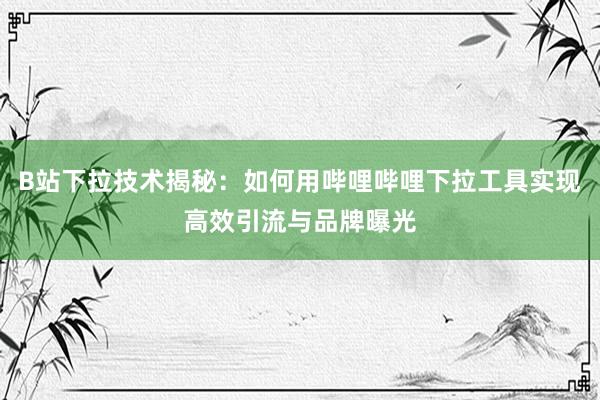 B站下拉技术揭秘：如何用哔哩哔哩下拉工具实现高效引流与品牌曝光