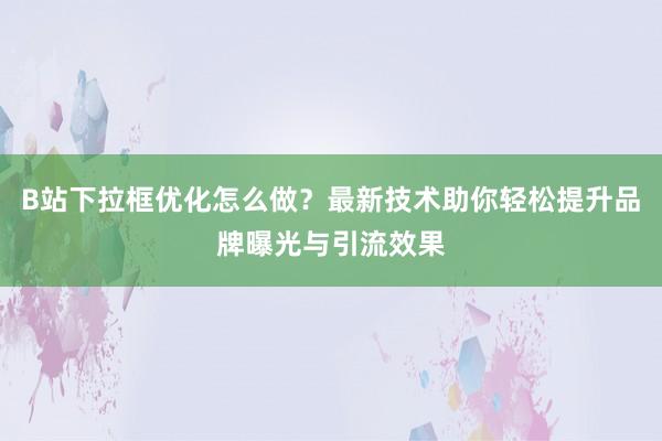 B站下拉框优化怎么做？最新技术助你轻松提升品牌曝光与引流效果