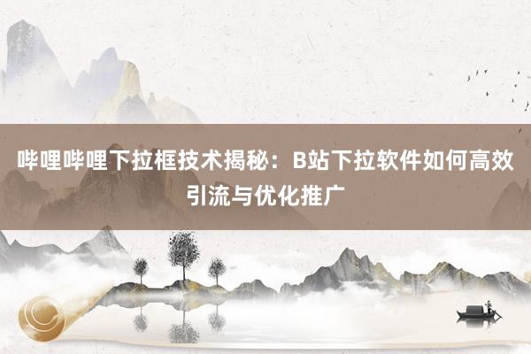 哔哩哔哩下拉框技术揭秘：B站下拉软件如何高效引流与优化推广