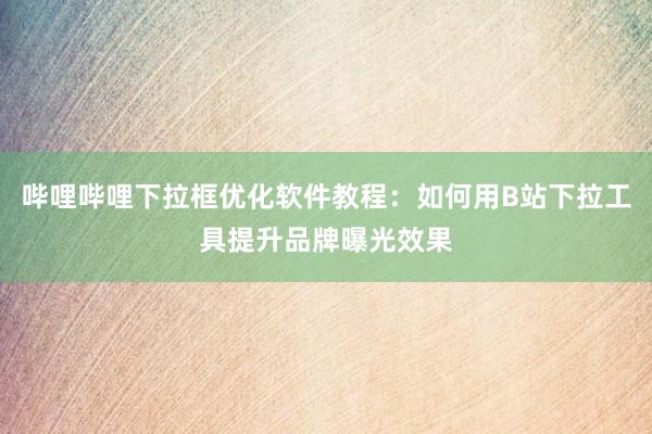 哔哩哔哩下拉框优化软件教程：如何用B站下拉工具提升品牌曝光效果