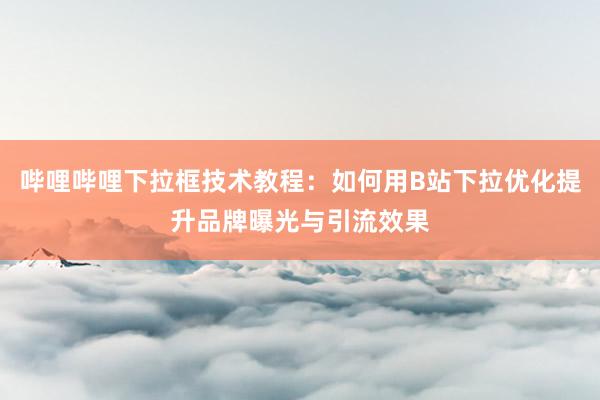 哔哩哔哩下拉框技术教程：如何用B站下拉优化提升品牌曝光与引流效果