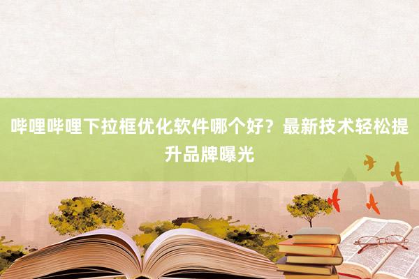哔哩哔哩下拉框优化软件哪个好？最新技术轻松提升品牌曝光
