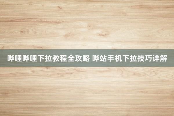 哔哩哔哩下拉教程全攻略 哔站手机下拉技巧详解