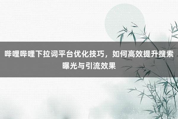 哔哩哔哩下拉词平台优化技巧，如何高效提升搜索曝光与引流效果