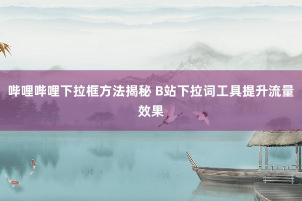 哔哩哔哩下拉框方法揭秘 B站下拉词工具提升流量效果