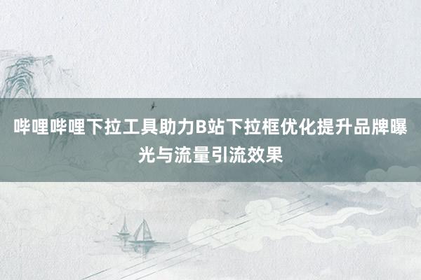 哔哩哔哩下拉工具助力B站下拉框优化提升品牌曝光与流量引流效果