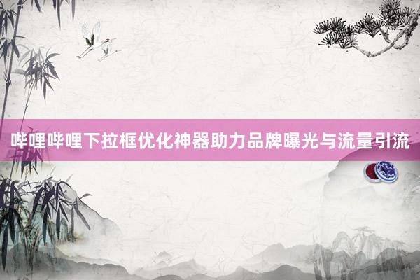 哔哩哔哩下拉框优化神器助力品牌曝光与流量引流