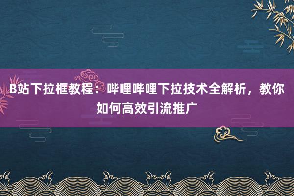 B站下拉框教程：哔哩哔哩下拉技术全解析，教你如何高效引流推广