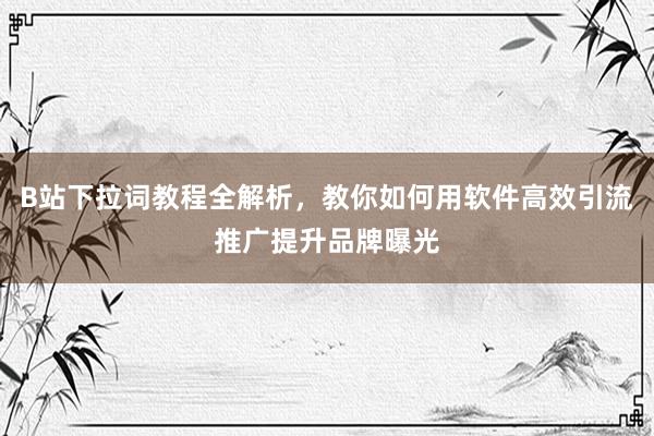 B站下拉词教程全解析，教你如何用软件高效引流推广提升品牌曝光