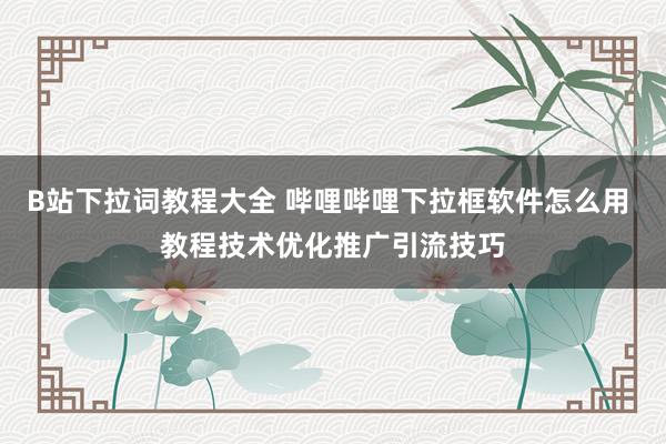B站下拉词教程大全 哔哩哔哩下拉框软件怎么用 教程技术优化推广引流技巧