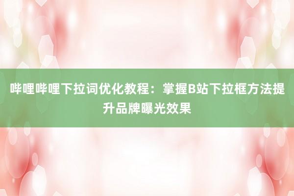 哔哩哔哩下拉词优化教程：掌握B站下拉框方法提升品牌曝光效果