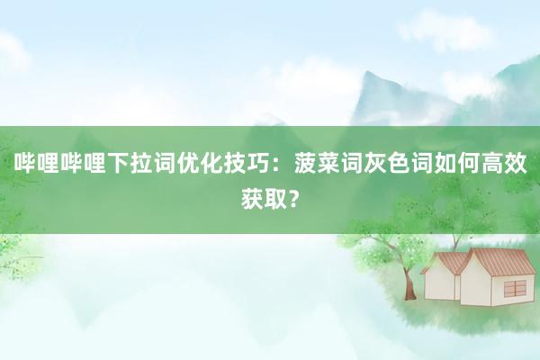 哔哩哔哩下拉词优化技巧：菠菜词灰色词如何高效获取？
