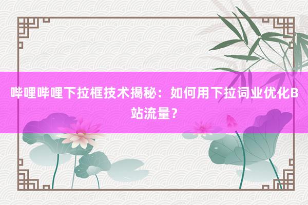 哔哩哔哩下拉框技术揭秘：如何用下拉词业优化B站流量？