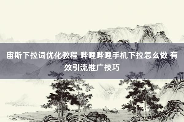 宙斯下拉词优化教程 哔哩哔哩手机下拉怎么做 有效引流推广技巧