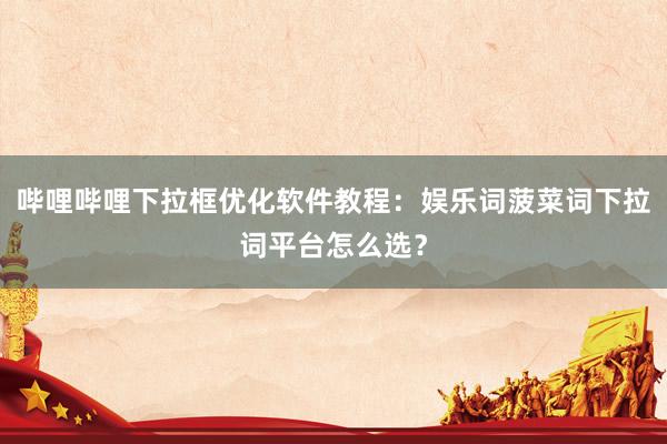 哔哩哔哩下拉框优化软件教程：娱乐词菠菜词下拉词平台怎么选？