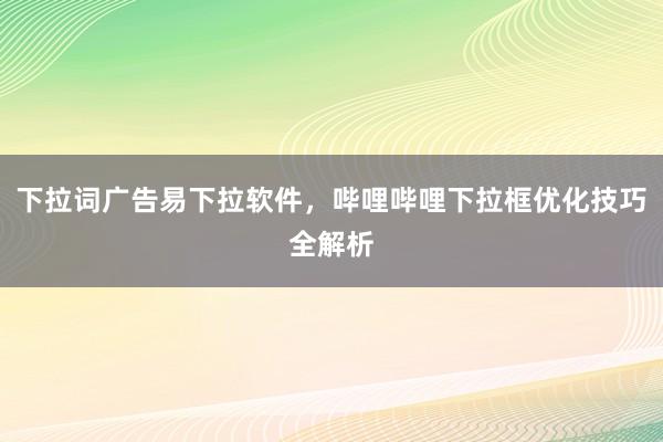 下拉词广告易下拉软件，哔哩哔哩下拉框优化技巧全解析