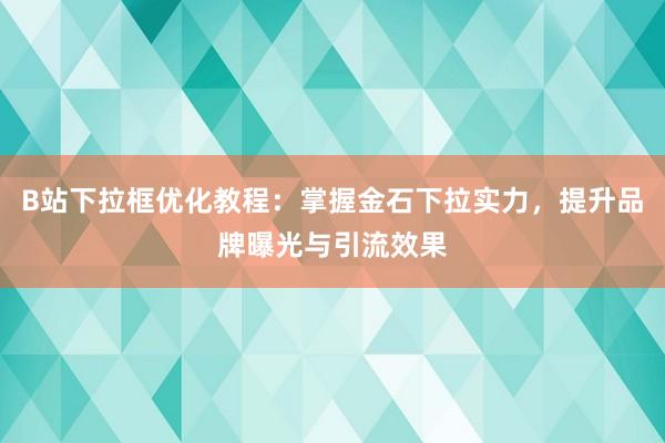 B站下拉框优化教程：掌握金石下拉实力，提升品牌曝光与引流效果