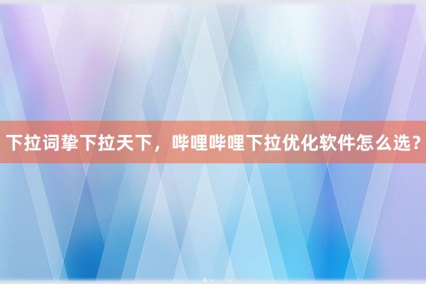 下拉词挚下拉天下，哔哩哔哩下拉优化软件怎么选？