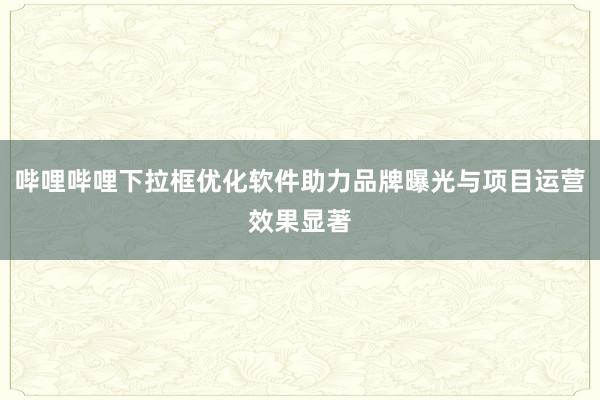 哔哩哔哩下拉框优化软件助力品牌曝光与项目运营效果显著