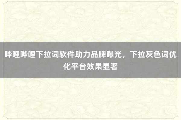 哔哩哔哩下拉词软件助力品牌曝光，下拉灰色词优化平台效果显著