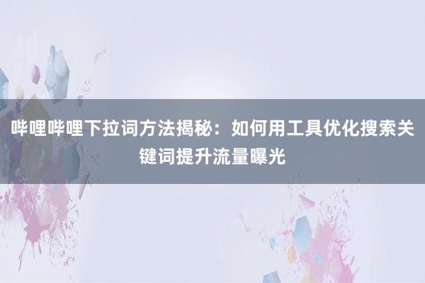 哔哩哔哩下拉词方法揭秘：如何用工具优化搜索关键词提升流量曝光