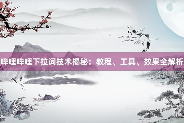 哔哩哔哩下拉词技术揭秘：教程、工具、效果全解析