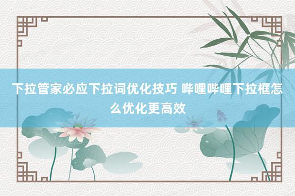 下拉管家必应下拉词优化技巧 哔哩哔哩下拉框怎么优化更高效