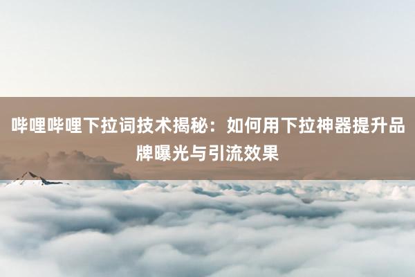 哔哩哔哩下拉词技术揭秘：如何用下拉神器提升品牌曝光与引流效果