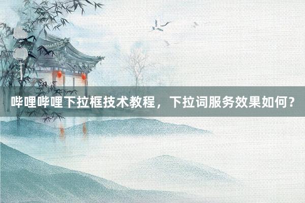 哔哩哔哩下拉框技术教程，下拉词服务效果如何？