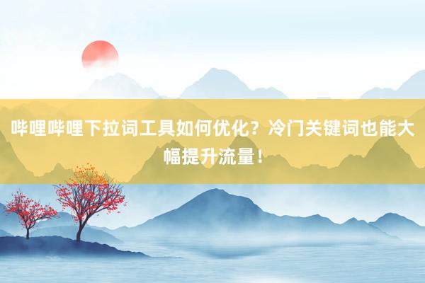 哔哩哔哩下拉词工具如何优化？冷门关键词也能大幅提升流量！