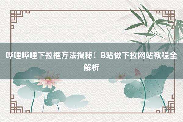 哔哩哔哩下拉框方法揭秘！B站做下拉网站教程全解析