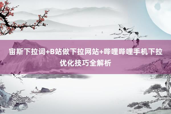 宙斯下拉词+B站做下拉网站+哔哩哔哩手机下拉优化技巧全解析