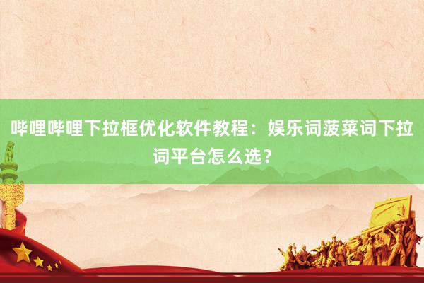 哔哩哔哩下拉框优化软件教程：娱乐词菠菜词下拉词平台怎么选？