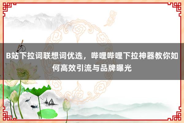 B站下拉词联想词优选，哔哩哔哩下拉神器教你如何高效引流与品牌曝光