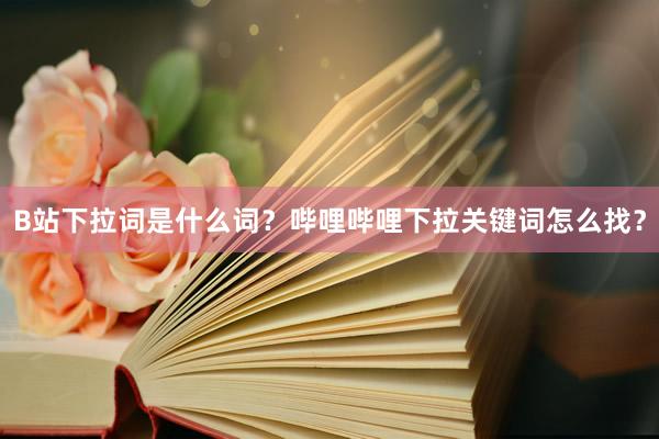 B站下拉词是什么词？哔哩哔哩下拉关键词怎么找？